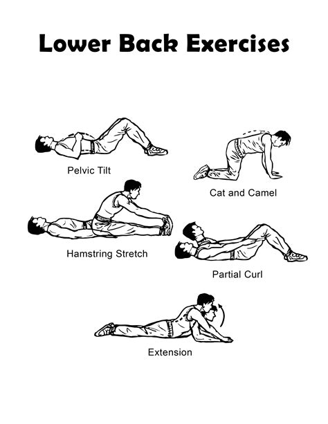 back exervise|back exercises pdf.